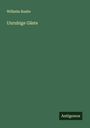 Wilhelm Raabe: Unruhige Gäste, Buch