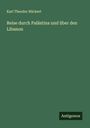 Karl Theodor Rückert: Reise durch Palästina und über den Libanon, Buch