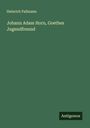Heinrich Pallmann: Johann Adam Horn, Goethes Jugendfreund, Buch