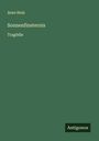 Arno Holz: Sonnenfinsternis, Buch