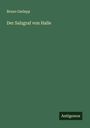 Bruno Garlepp: Der Salzgraf von Halle, Buch