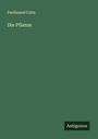 Ferdinand Cohn: Die Pflanze, Buch