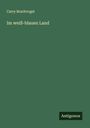 Carry Brachvogel: Im weiß-blauen Land, Buch