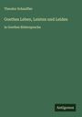 Theodor Schauffler: Goethes Leben, Leisten und Leiden, Buch