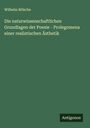 Wilhelm Bölsche: Die naturwissenschaftlichen Grundlagen der Poesie - Prolegomena einer realistischen Ästhetik, Buch