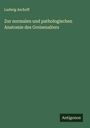 Ludwig Aschoff: Zur normalen und pathologischen Anatomie des Greisenalters, Buch
