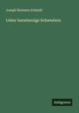 Joseph Hermann Schmidt: Ueber barmherzige Schwestern, Buch