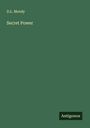 D. L. Moody: Secret Power, Buch