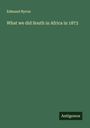 Edmund Byron: What we did South in Africa in 1873, Buch