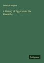 Heinrich Brugsch: A History of Egypt under the Pharaohs, Buch