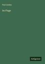 Paul Lindau: Im Fluge, Buch