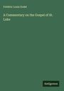 Frédéric Louis Godet: A Commentary on the Gospel of St. Luke, Buch