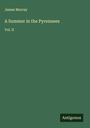 James Murray: A Summer in the Pyrennees, Buch