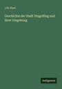 J. W. Eberl: Geschichte der Stadt Dingolfing und ihrer Umgebung, Buch