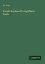 St. John: Pakeha Rambles Through Maori Lands, Buch