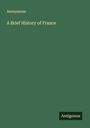 Anonymous: A Brief History of France, Buch