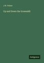 J. W. Palmer: Up and Down the Irrawaddi, Buch