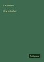 C. W. Denison: Gracie Amber, Buch