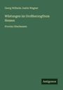 Georg Wilhelm Justin Wagner: Wüstungen im Großherzogthum Hessen, Buch
