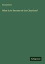 Anonymous: What is to Become of the Churches?, Buch