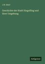 J. W. Eberl: Geschichte der Stadt Dingolfing und ihrer Umgebung, Buch