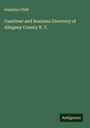 Hamilton Child: Gazetteer and Business Directory of Allegany County N. Y., Buch