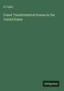 H. Fuller: Grand Transformation Scenes in the United States, Buch
