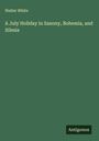 Walter White: A July Holiday in Saxony, Bohemia, and Silesia, Buch