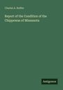 Charles A. Ruffee, Report of the Condition of the Chippewas of Minnesota, Logo unten „Antigonos“. Grüner Hintergrund.