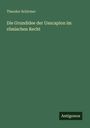 Theodor Schirmer: Die Grundidee der Usucapion im römischen Recht, Buch