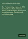 Henry George Bohn: The Pinetum. Being a Synopsis of All the Coniferous Plants at Present Known, with Descriptins, History and Synonyms, and a Comprehensive Systematic Index, Buch
