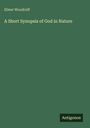 Elmer Woodruff: A Short Synopsis of God in Nature, Buch