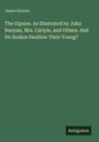 James Simson: The Gipsies. As Illustrated by John Bunyan, Mrs. Carlyle, and Others. And Do Snakes Swallow Their Young?, Buch