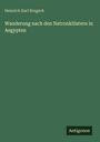 Text: „Heinrich Karl Brugsch. Wanderung nach den Natronklöstern in Aegypten“. Unten steht „Antigonos“. Hintergrund: Grün.
