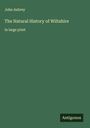 John Aubrey: The Natural History of Wiltshire, Buch