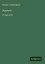 George A. Birmingham: Hyacinth, Buch