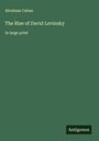 Abraham Cahan: The Rise of David Levinsky, Buch