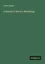 James Napier: A Manual of Electro-Metallurgy, Buch