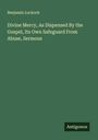 Benjamin Luckock: Divine Mercy, As Dispensed By the Gospel, Its Own Safeguard From Abuse, Sermons, Buch