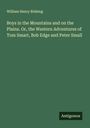 William Henry Rideing: Boys in the Mountains and on the Plains. Or, the Western Adventures of Tom Smart, Bob Edge and Peter Small, Buch