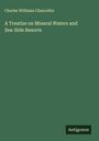 Charles Williams Chancellor: A Treatise on Mineral Waters and Sea-Side Resorts, Buch