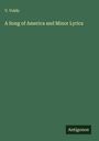V. Voldo: A Song of America and Minor Lyrics, Buch