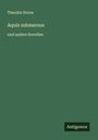 Theodor Storm: Aquis submersus, Buch