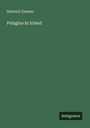 Heinrich Zimmer: Pelagius in Irland, Buch