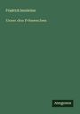 Friedrich Gerstäcker: Unter den Pehuenchen, Buch