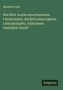 Hermann Geist: Wie führt Goethe sein titanisches Faustproblem, das Bild seines eigenen Lebenskampfes, vollkommen einheitlich durch?, Buch