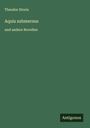 Theodor Storm: Aquis submersus, Buch