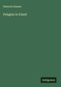 Heinrich Zimmer: Pelagius in Irland, Buch
