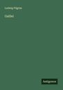 Ludwig Pilgrim: Galilei, Buch
