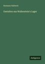 Hermann Hallwich: Gestalten aus Wallenstein's Lager, Buch